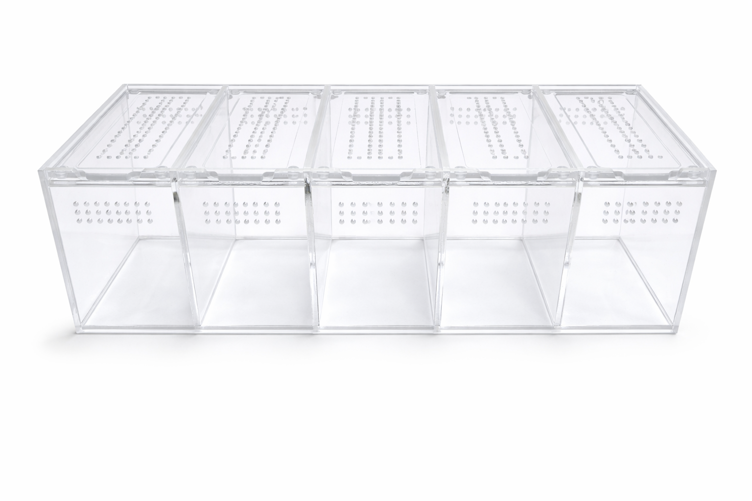 Clear acrylic five-compartment container with perforated lids, Acier Manufacturing Ltd